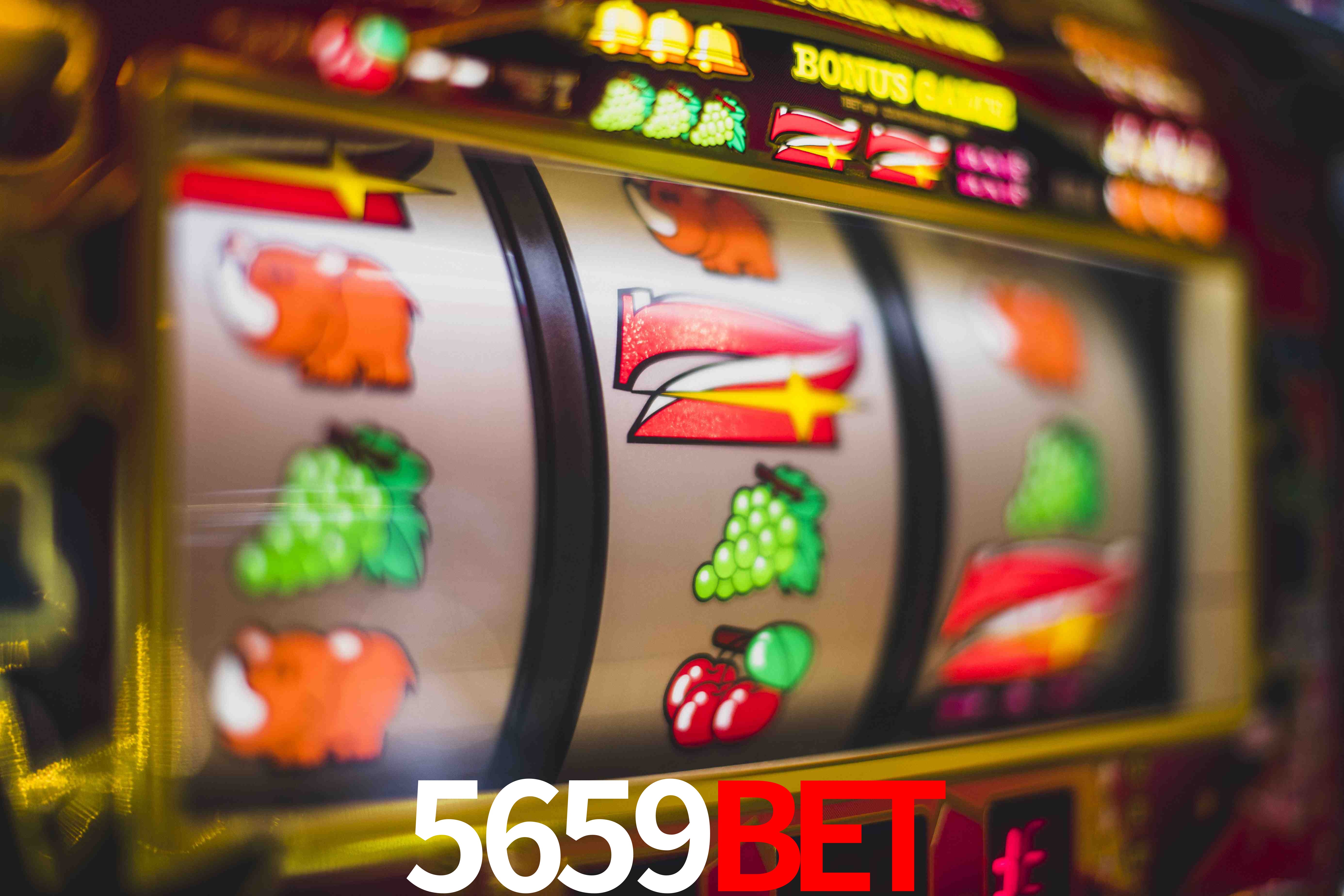 Basketball Betting 5659bet